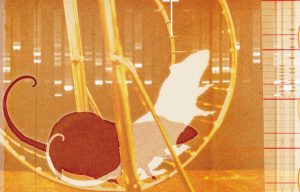 hamster wheel Nanette Hoogslag n Getty Images