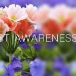 June is Cataract Awareness Month