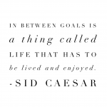 "In between goals is a thing called life that has to be lived and enjoyed."  Sid Caesar