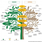 Do you know the difference between "organic" and "natural"? This helpful graphic clarifies the terms.