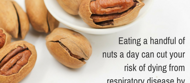 Eating a handful of nuts a day can cut your risk of dying from respiratory disease by about 50 percent. (BMC Medicine)