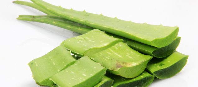 Health Benefits Of Aloe Vera